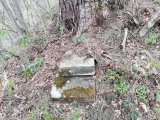 画像に含まれている可能性があるもの:木、屋外